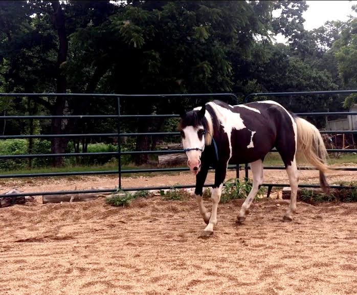 394417cd-1855-44ba-a474-22e97a097664